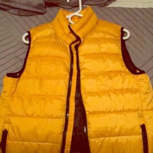 Bumblebee yellow vest